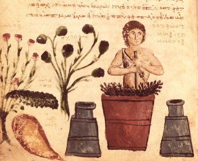 A Peasant Preparing an Ointment to Protect Against Snakes, from the Theriaca of Nicander of Colophon by Byzantine